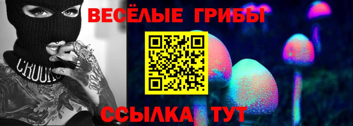 Полысаево  Галлюциногенные грибы GOLDEN TEACHER  Вход с VPN 